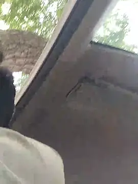 shuzukaqueen live cam preview