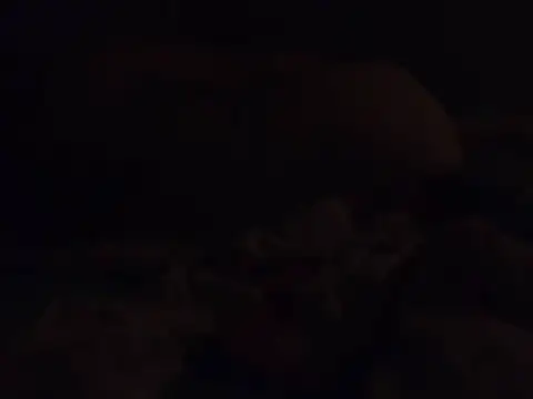 k-dong live cam preview