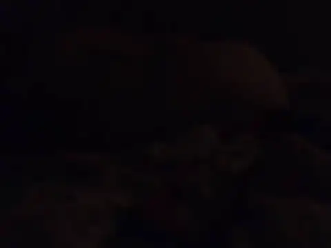 k-dong live cam on StripChat