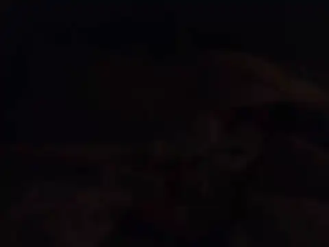 k-dong webcam