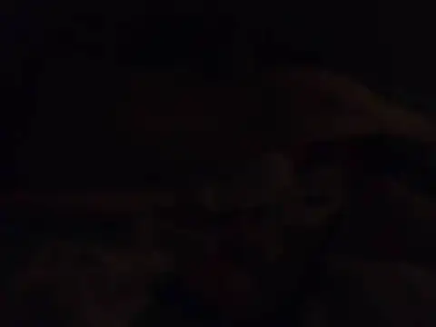k-dong live cam preview
