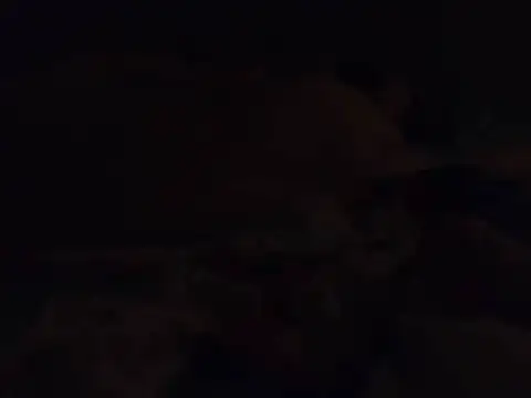 k-dong live cam preview