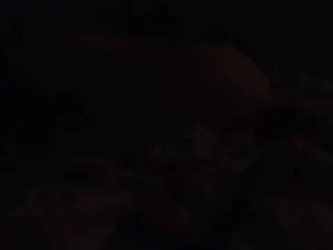 k-dong