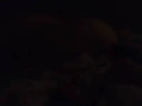 k-dong