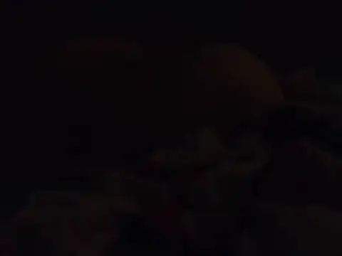 k-dong