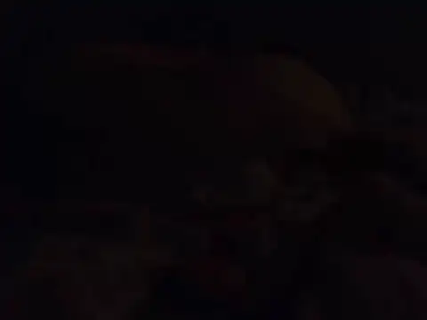 k-dong live cam preview