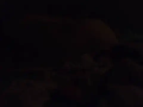 k-dong live cam preview