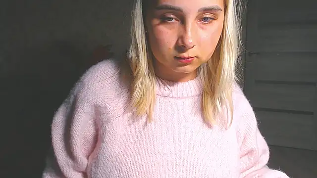 DolphinDreams live cam preview