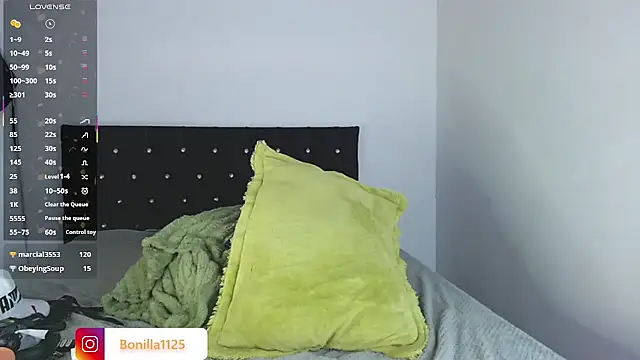 PaleVibes