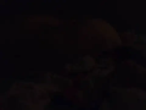 k-dong webcam