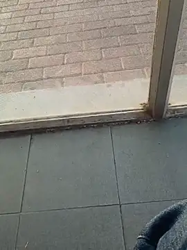 oneeyedwonder771 live cam preview