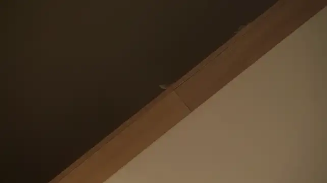 ElinPoston live sex cam