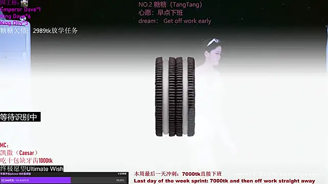 CCTW-100