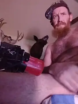 CaliBredMetalHeadDaddy live cam preview