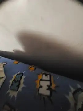 lokito7895 live cam preview