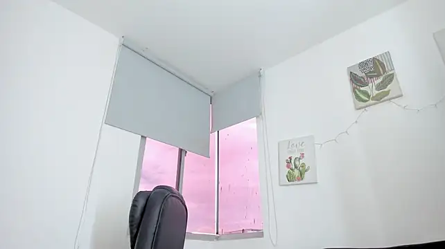 Modèle: barbie_ds