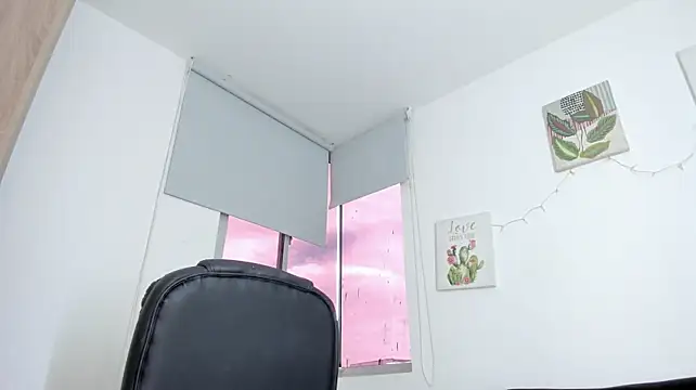 barbie_ds