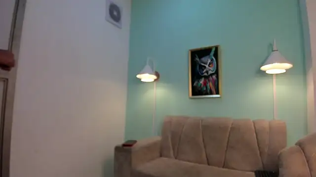 ZAN_181 webcam