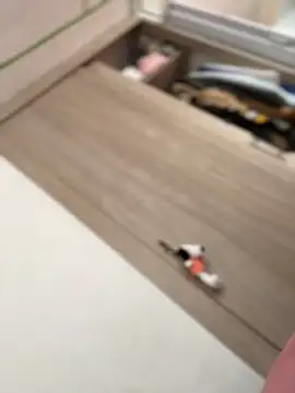 Abby-LS live cam preview