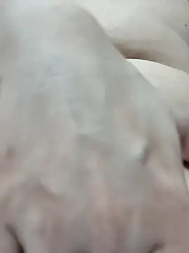 _miu__love_ live cam preview