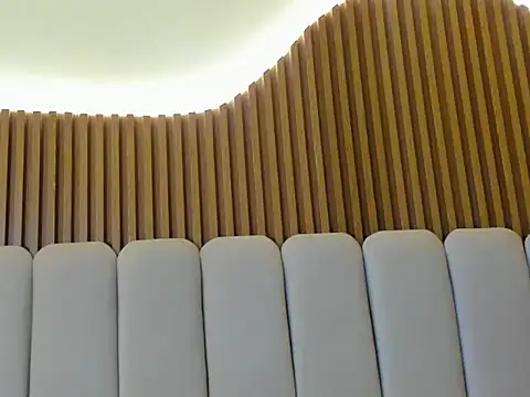 Duoeclipse_ live cam preview