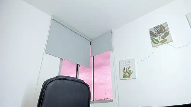 barbie_ds
