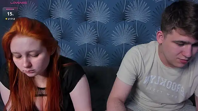 couple_of_kittens_