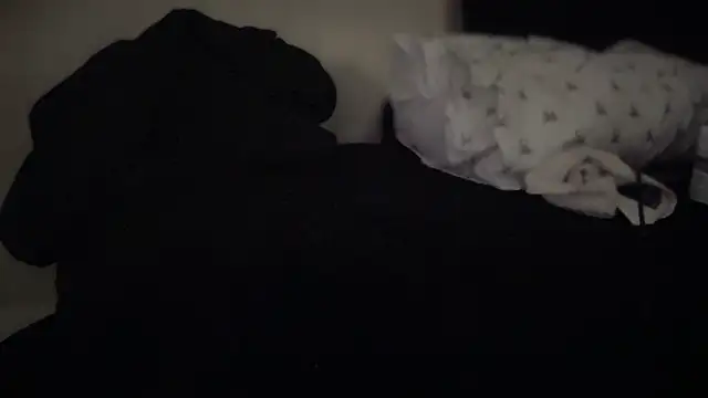 THEFOXESDEN3