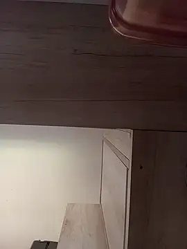 Realease live cam preview