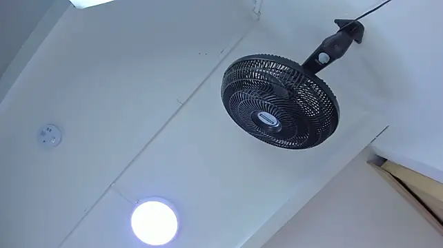 VICTORIAGRAYS webcam