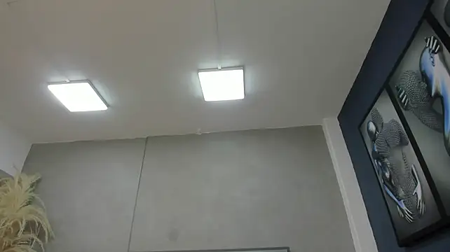 Charlie___Musk webcam