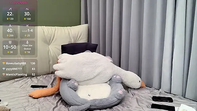 stella_TM webcam