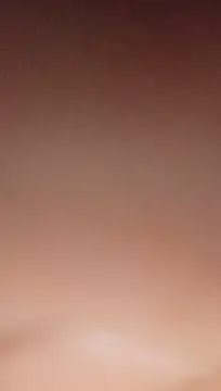 MissHolyCoxx