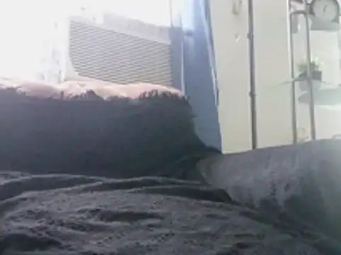 AcademicHuman67 live cam preview