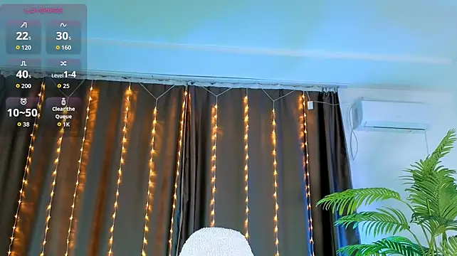 DianInav live cam preview