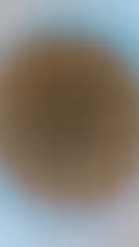 Maxx_valiant live cam preview