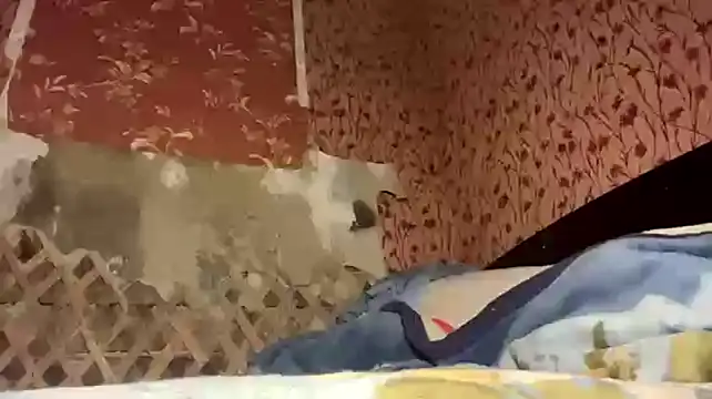 Chloooee live cam preview