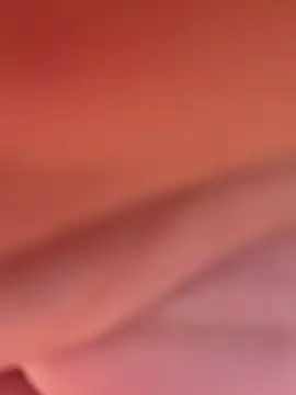 Lno_toromi