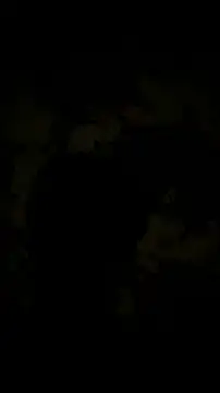 CouplingCry live cam preview
