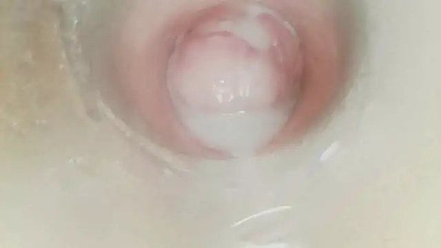 karol_stom