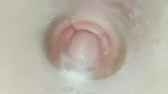 karol_stom