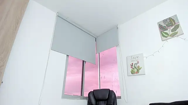 barbie_ds