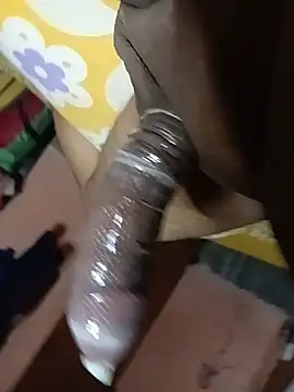 palsland