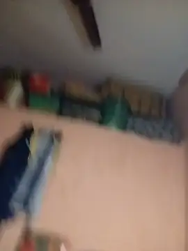 palsland live cam preview