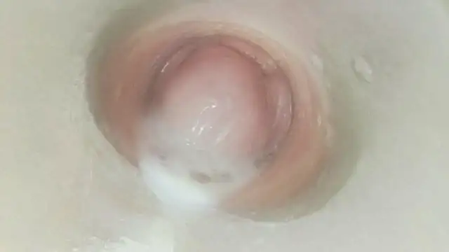 karol_stom