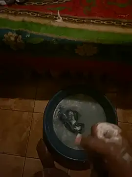 spermrainer live cam preview