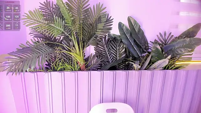 stephanymonroe live cam preview