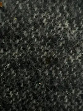 ch31285 live cam preview
