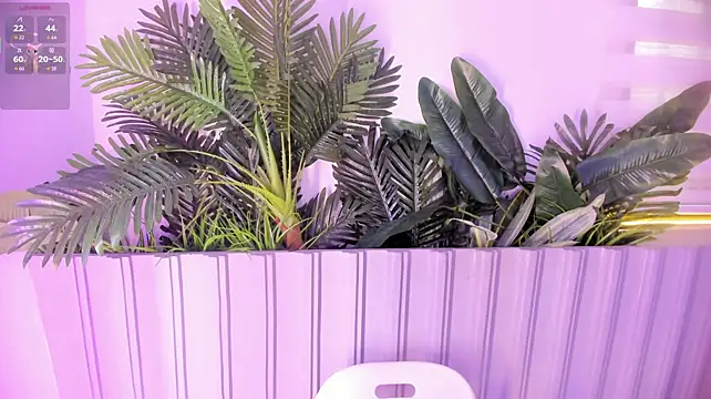 stephanymonroe