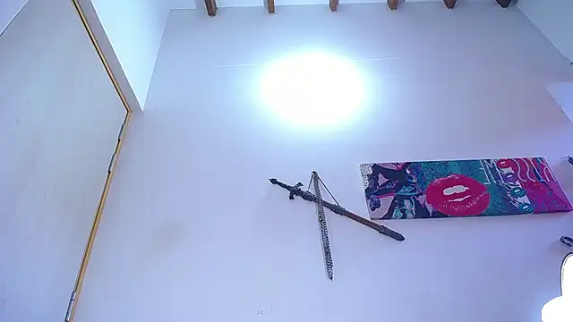 damn_fox webcam